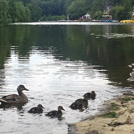 Vakantiehuis Du Moulin Du Vey *