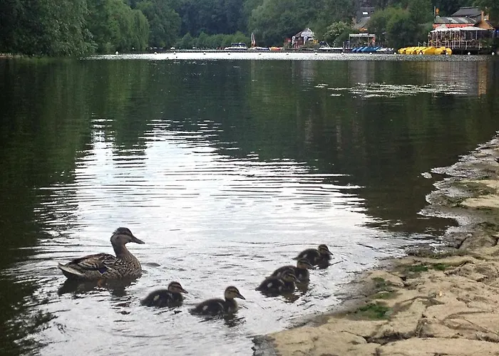 Tatil Evi Du Moulin Du Vey *